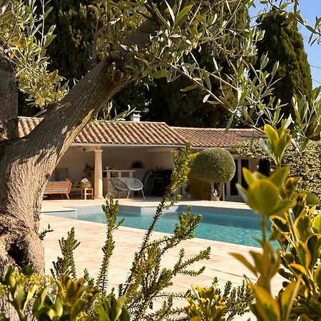 Mas Des Bambous Otel Saint-Rémy-de-Provence Dış mekan fotoğraf