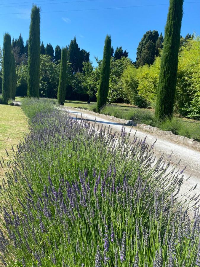 Mas Des Bambous Otel Saint-Rémy-de-Provence Dış mekan fotoğraf