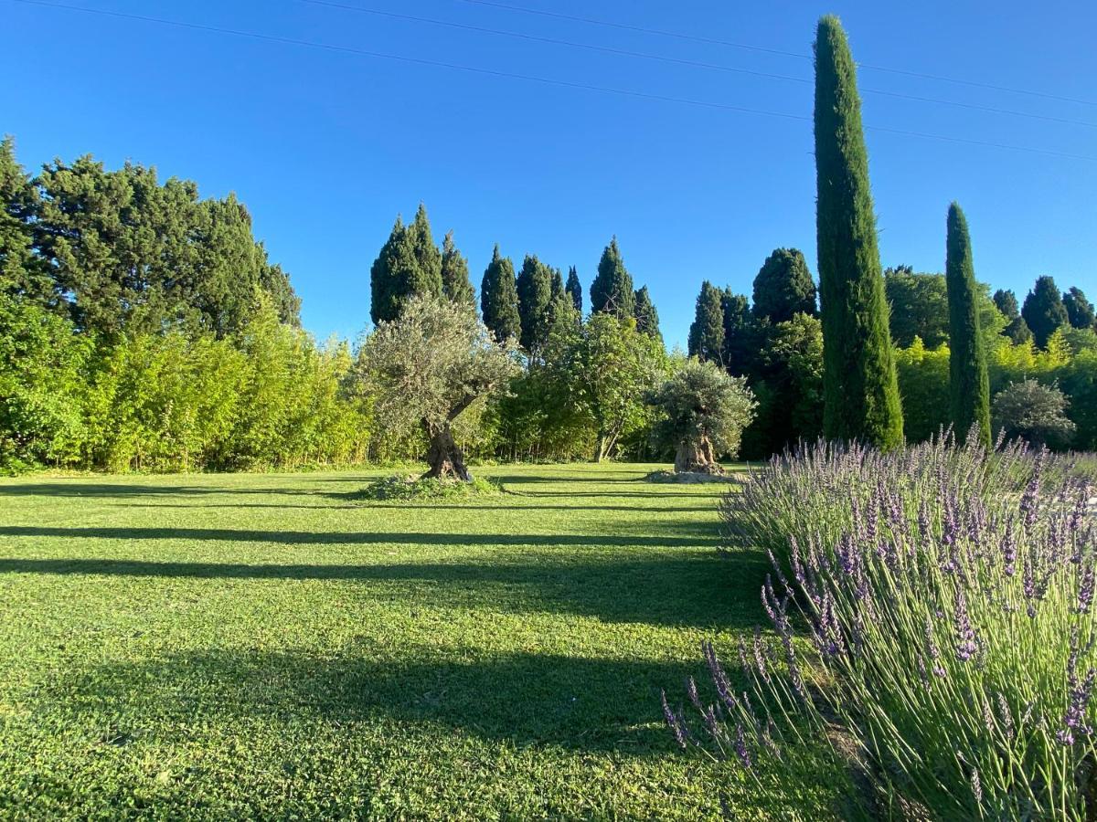 Mas Des Bambous Otel Saint-Rémy-de-Provence Dış mekan fotoğraf