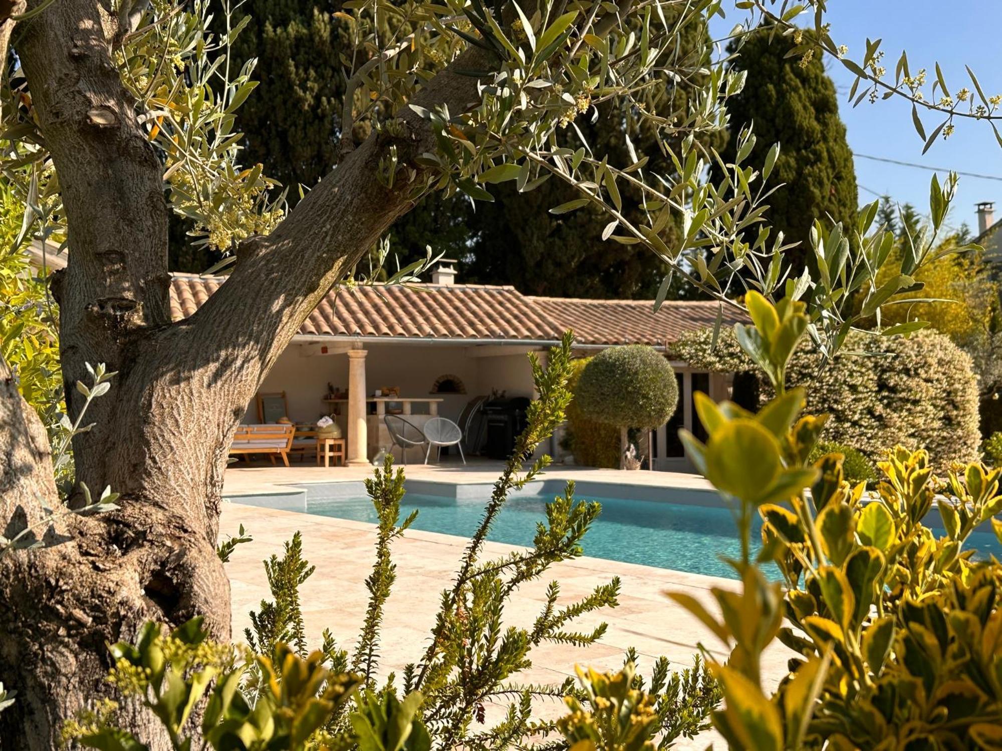 Mas Des Bambous Otel Saint-Rémy-de-Provence Dış mekan fotoğraf