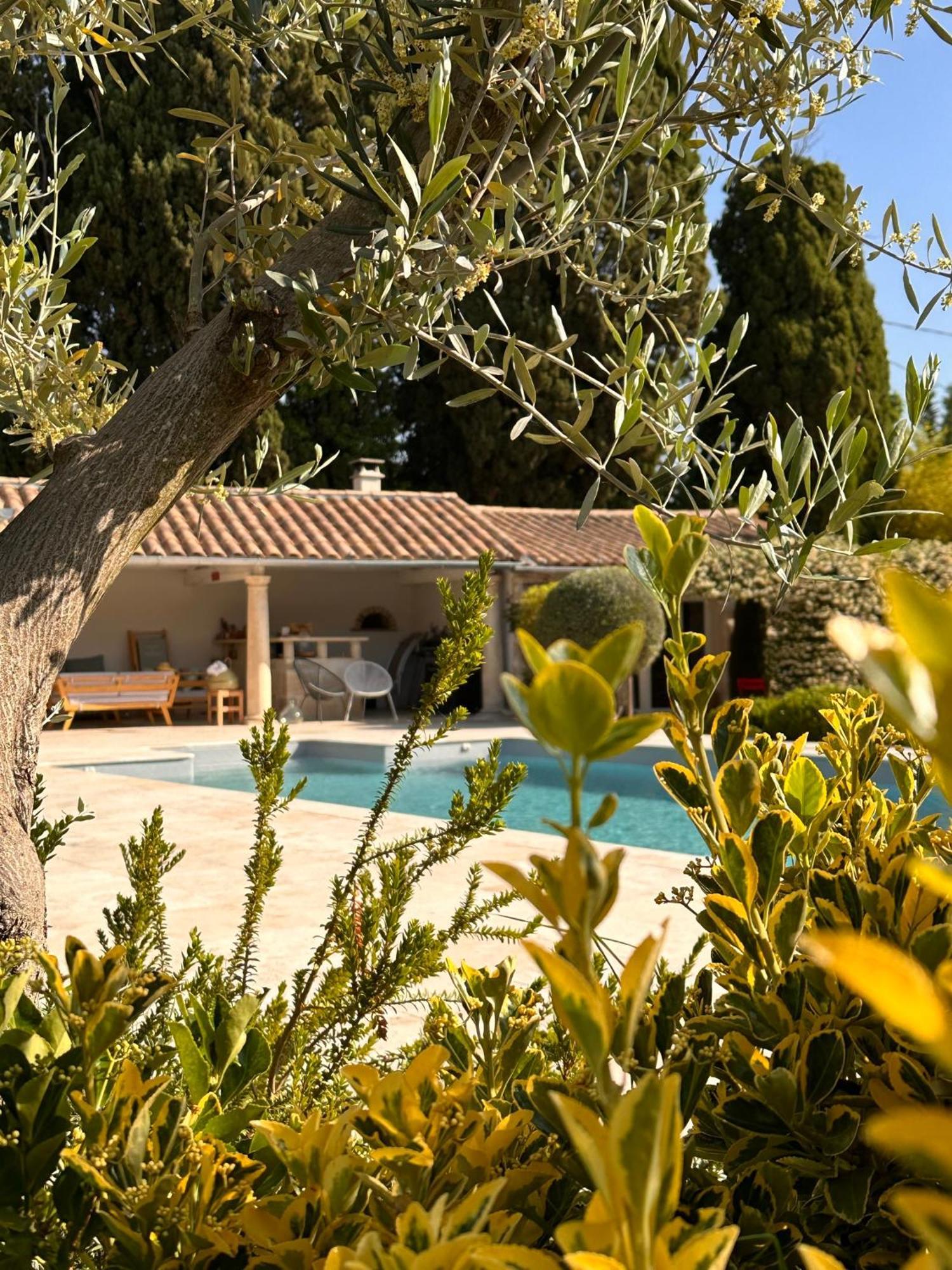 Mas Des Bambous Otel Saint-Rémy-de-Provence Dış mekan fotoğraf