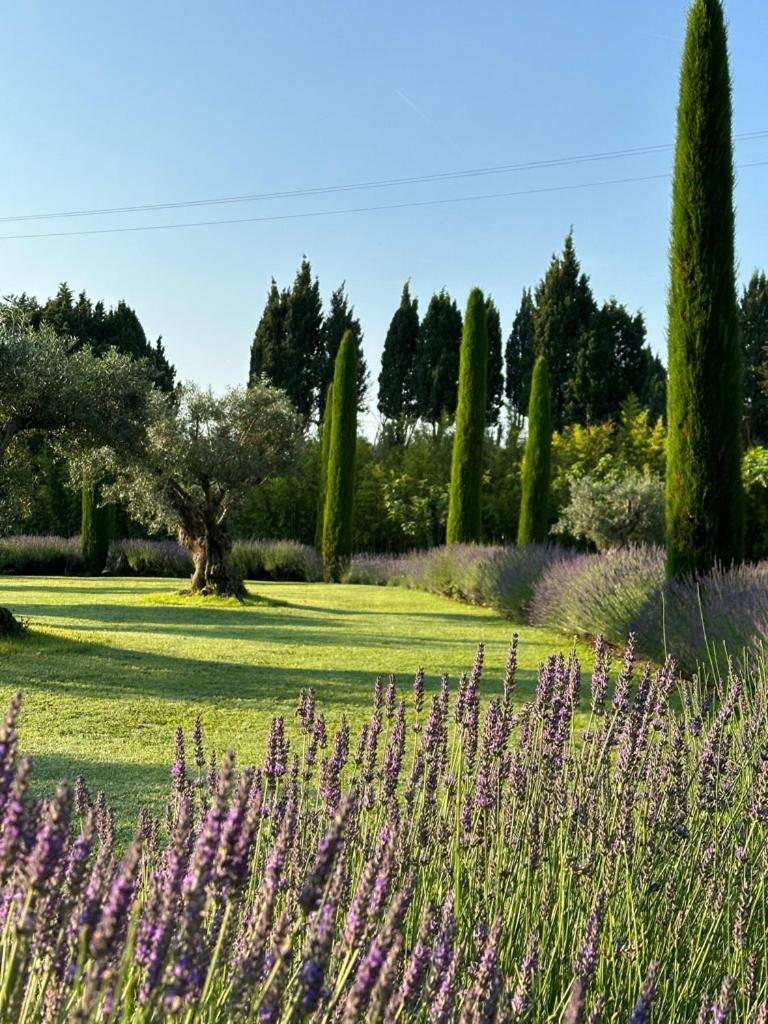 Mas Des Bambous Otel Saint-Rémy-de-Provence Dış mekan fotoğraf