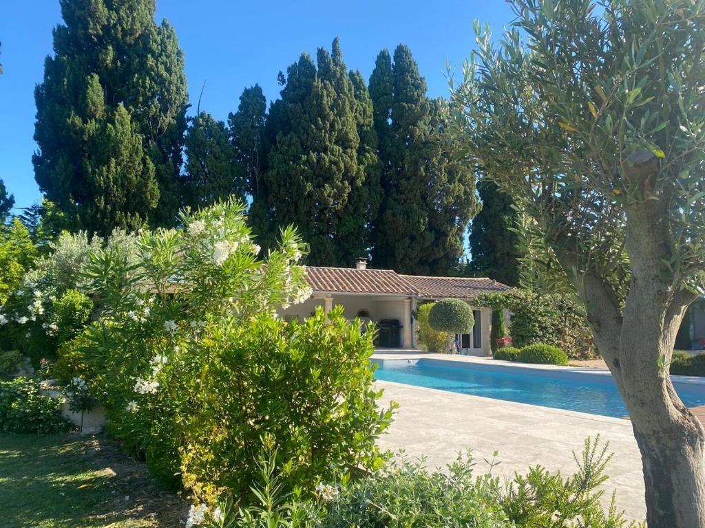 Mas Des Bambous Otel Saint-Rémy-de-Provence Dış mekan fotoğraf