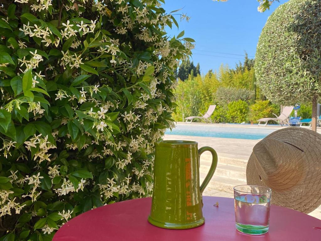 Mas Des Bambous Otel Saint-Rémy-de-Provence Dış mekan fotoğraf